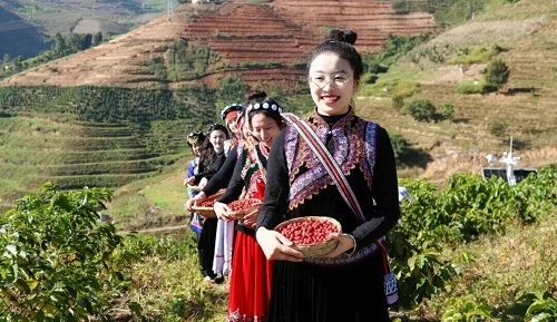 73d2311ff3881deeae39045823f2f424